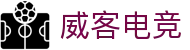 威客电竞-让每一份电竞才华都更有价值